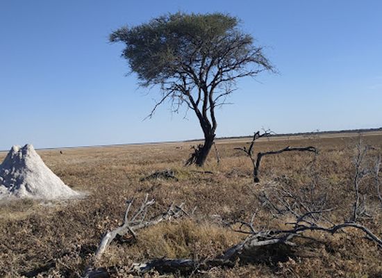 namibia/oshikoto/attraction/koinachas