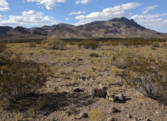 new-mexico/socorro/attraction/socorro-rodeo-sports-complex