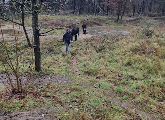 belgium/de-haan/attraction/de-duinezel-ezelwandelingen