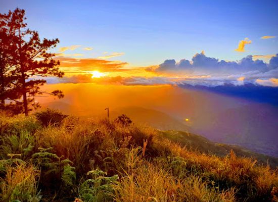 philippines/mt-pulag/attraction/babalak-babadak-ranger-station