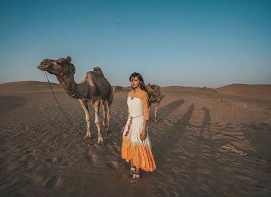 india/jaisalmer/attraction/stunning-jaisalmer-tours