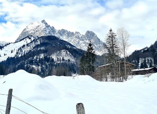 austria/wipptal/attraction/bacheralm-rodelbahn