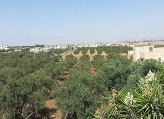 jordan/irbid/attraction/soum-puplic-park
