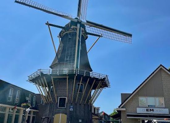 netherlands/bollenstreek/attraction/the-lion