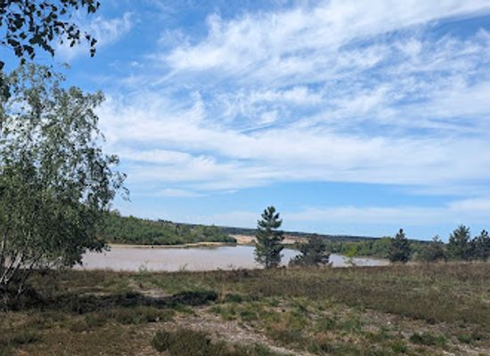 belgium/hoge-kempen-national-park/attraction/mechelse-heide
