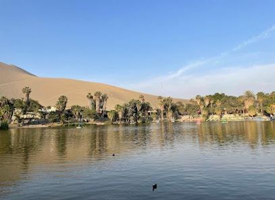 peru/ica/attraction/oasishuacachina-com