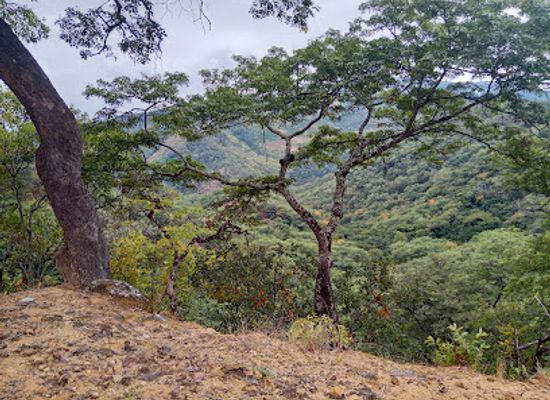malawi/kande-beach/attraction/chitewe-mountain
