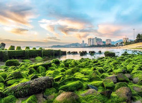 vietnam/nha-trang/attraction/bai-reu-nha-trang