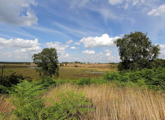 netherlands/limburg/attraction/de-hamert-nationaal-park