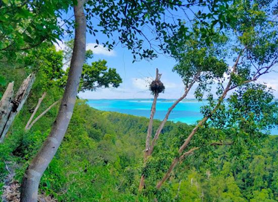indonesia/north-kalimantan/attraction/puncak-maratua