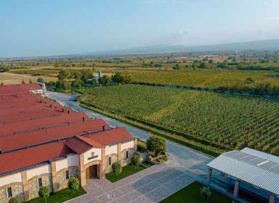 georgia/kakheti/attraction/telavi-wine-cellar-marani