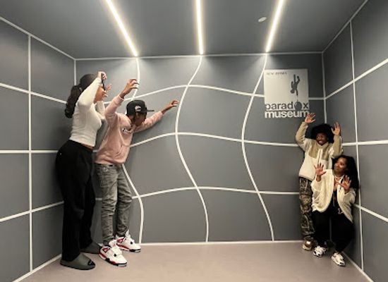 new-jersey/central-jersey/attraction/paradox-experience-new-jersey