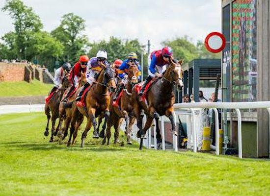 united-kingdom/chester/attraction/chester-racecourse