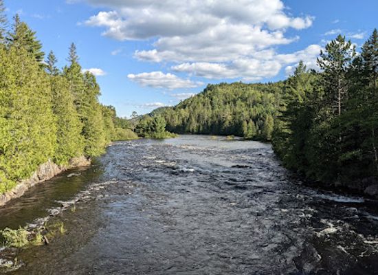 canada/lanaudiere/attraction/foret-ouareau-secteur-du-pont-suspendu