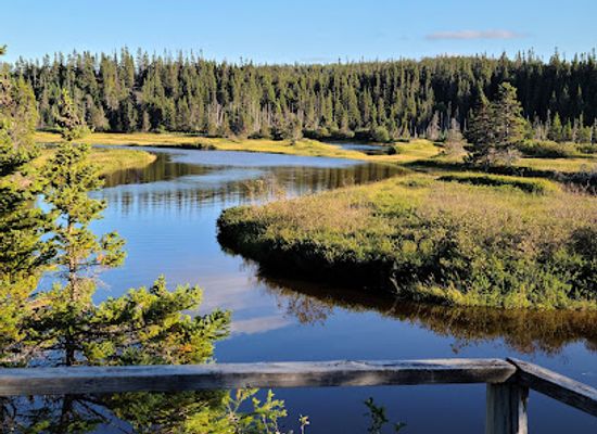 canada/newfoundland-and-labrador/attraction/terra-nova-national-park