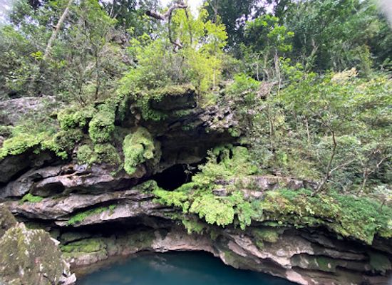 vietnam/phong-nha-ke-bang-national-park/attraction/hang-tra-ang