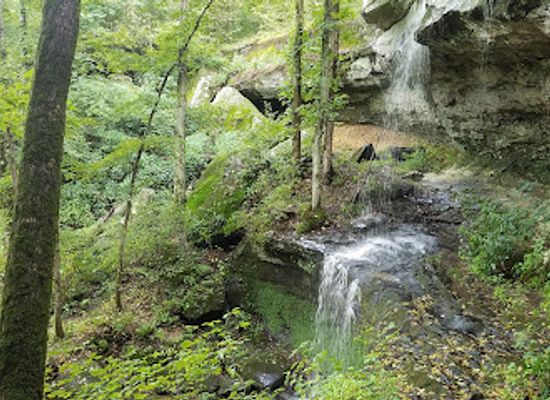 illinois/ferne-clyffe-state-park/attraction/rocky-bluff-trail