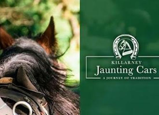 ireland/killarney/attraction/killarney-jaunting-cars-tangney-tours