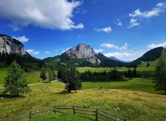 austria/kalkalpen-national-park/attraction/aussichtsturm