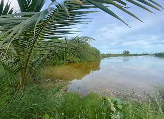 maldives/seenu-atoll/attraction/medheaari-kilhi-park