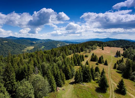 poland/gorce-mountains/attraction/observation-tower-on-magurka