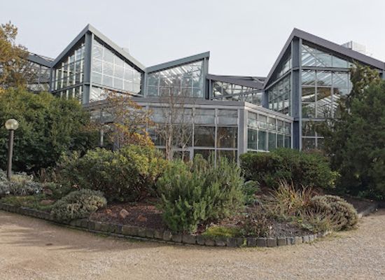 germany/taunus/attraction/tropicarium
