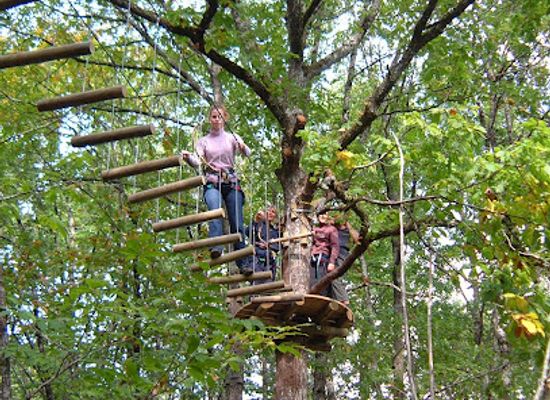 france/périgord-noir/attraction/call-tree-forest-adventure-course-dordogne