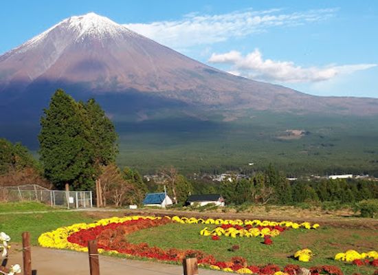 japan/mount-fuji/attraction/shiraito-natural-park