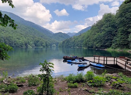 montenegro/niksic/attraction/biogradska-gora-national-park