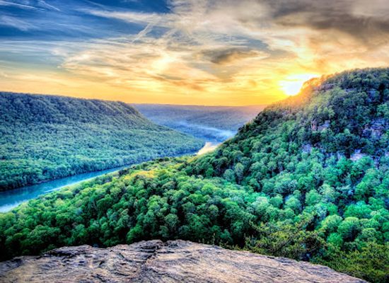 tennessee/chattanooga/attraction/tennessee-aquarium