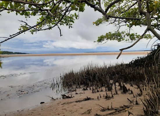 suriname/albina/attraction/urusji-lodge