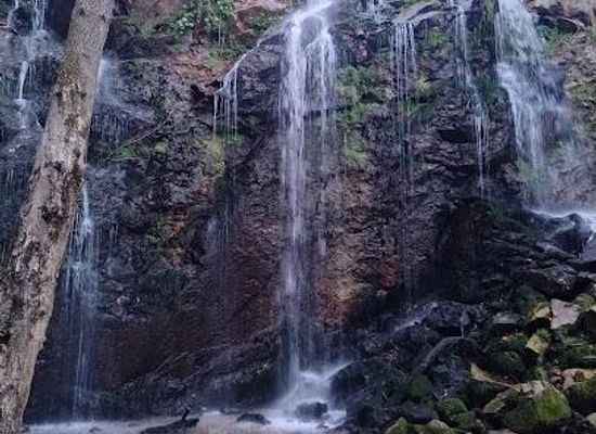 spain/oviedo/attraction/ruta-cascadas-de-guanga