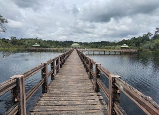 brunei/belait-district/attraction/labi-forest-reserve