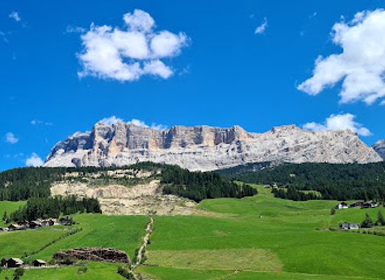 italy/alta-badia/attraction/parco-cervi-sompunt-alta-badia