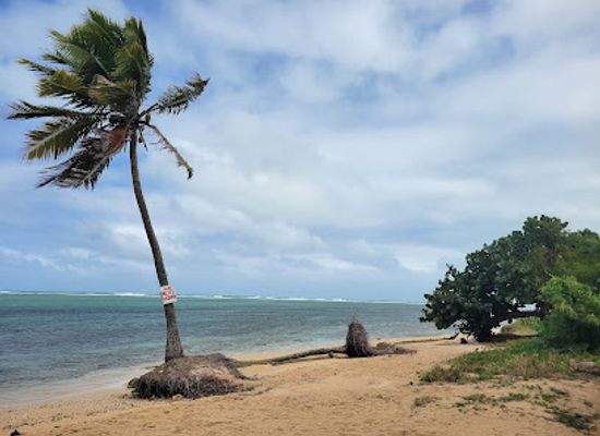 puerto-rico/caribbean-national-forest/attraction/coral-beach
