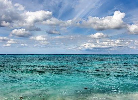 the-bahamas/andros/attraction/love-beach
