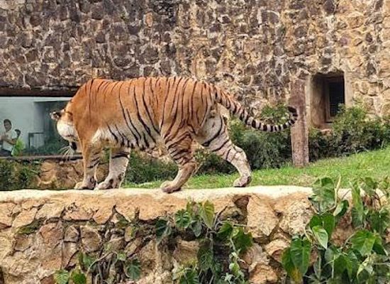 colombia/cali/attraction/zoologico-de-cali