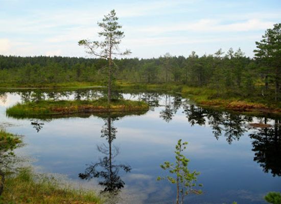 estonia/lahemaa-national-park/attraction/kolga-manor