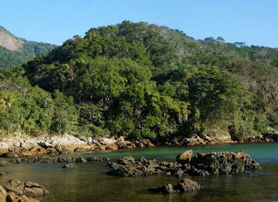brazil/ilha-grande/attraction/monkey-island