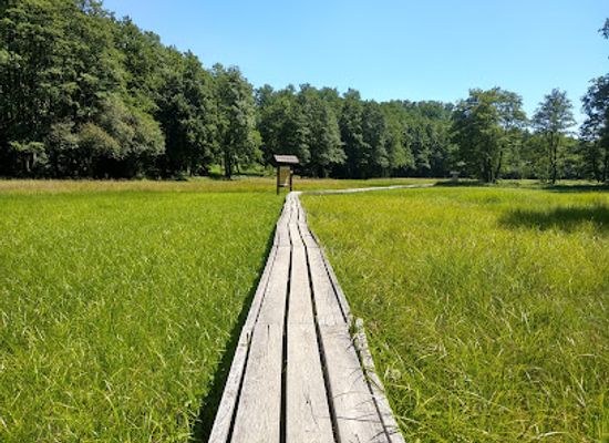 hungary/orseg-vendvidek/attraction/marshlands-of-szoce