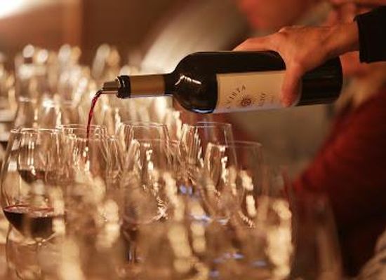 uruguay/colonia-del-sacramento/attraction/borravino-wine-tours
