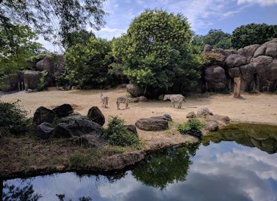maryland/baltimore/attraction/the-maryland-zoo-in-baltimore
