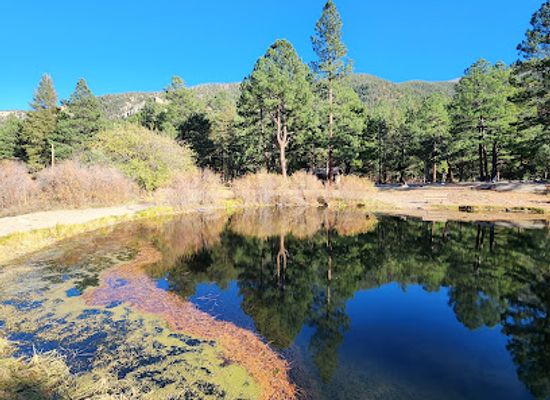new-mexico/enchanted-circle/attraction/cimarron-canyon-state-park