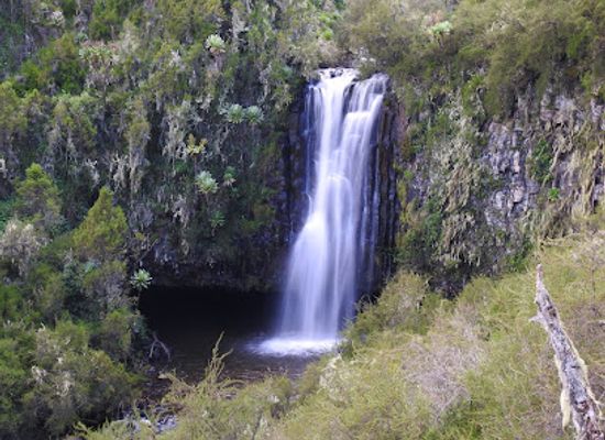 kenya/aberdare-national-park/attraction/queens-cave