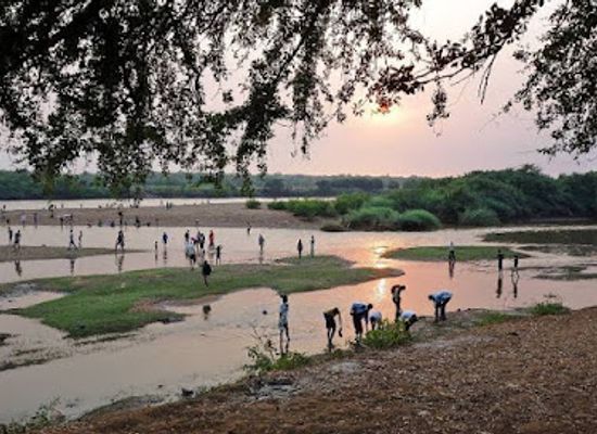 kenya/lake-victoria/attraction/lake-victoria-sanctuary