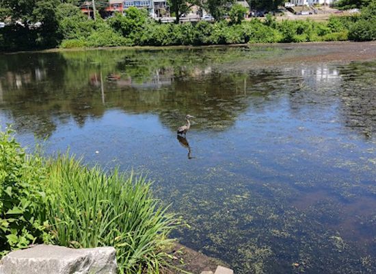 rhode-island/blackstone-valley/attraction/cass-park