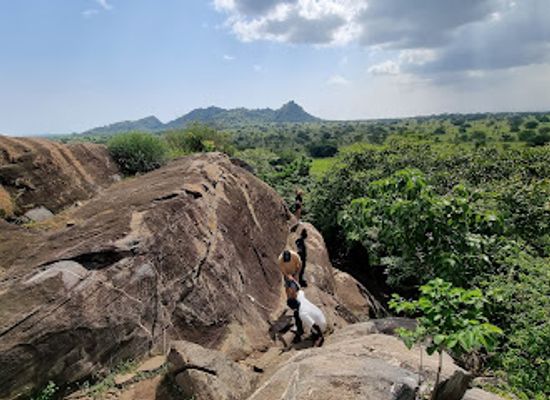 ghana/greater-accra-region/attraction/shai-hills-resource-reserve