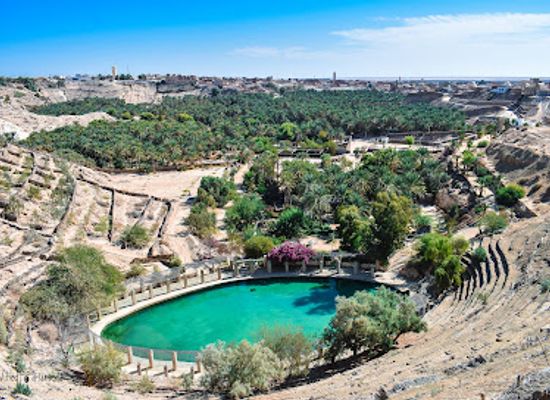 tunisia/the-djerid/attraction/corbeille-de-nefta