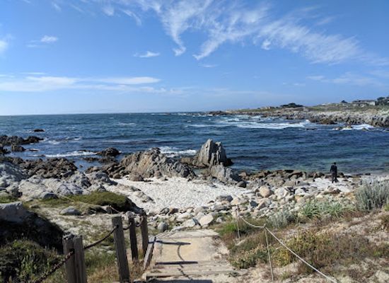 california/big-sur/attraction/asilomar-state-beach