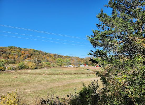 kentucky/daniel-boone-national-forest/attraction/blue-licks-battlefield-state-resort-park